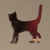 Miroir Chat qui marche
