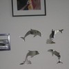 Composition Dauphins